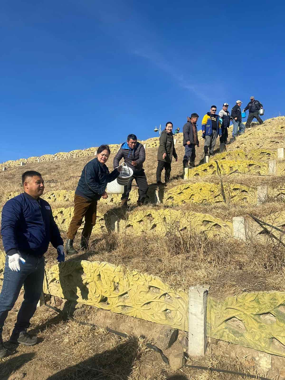 Хойд бүс: Тарьсан модоо арчилж, цэнэглэе