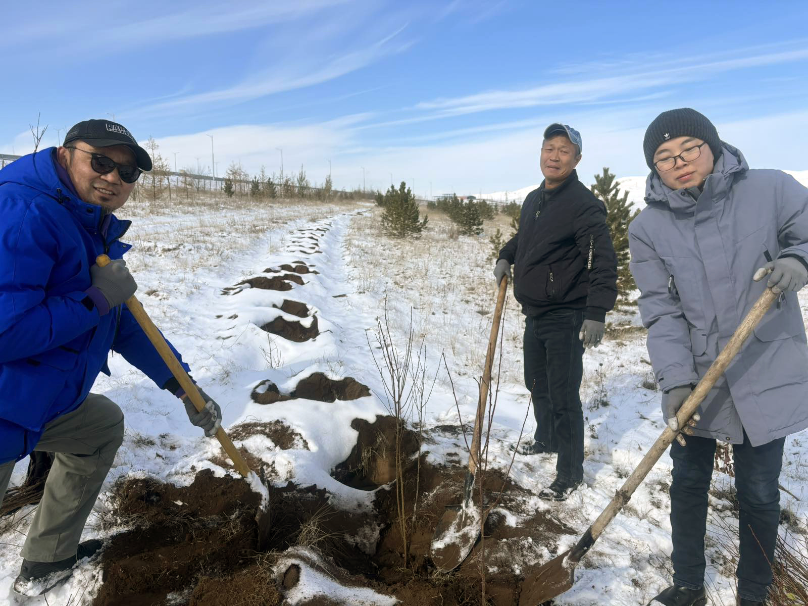 Бүх нийтээр мод тарих өдөр